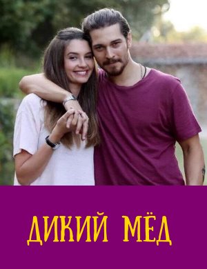 Дикий мёд