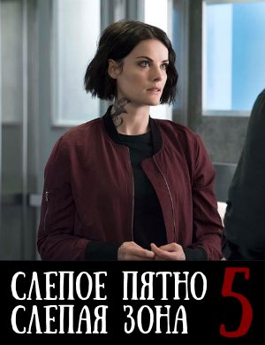 Слепое пятно / Слепая зона 5 сезон