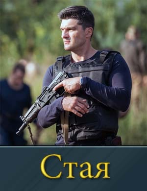 Смотрите Стая на НТВ-1 сезон
