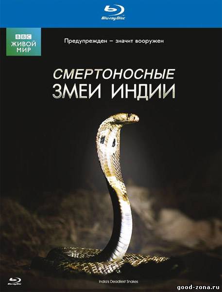 BBC: Живой мир - Смертоносные змеи Индии