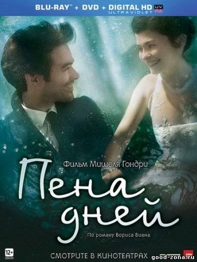 Пена дней
