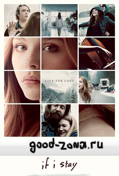 Если я останусь (2014)