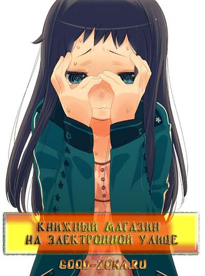 Книжный магазин на Электронной улице