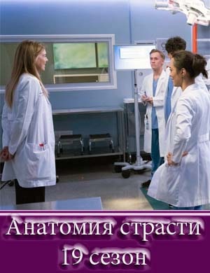 Анатомия страсти 19 сезон