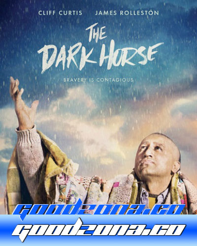 Тёмная лошадка (2015)