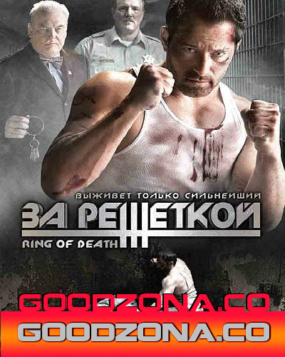 За решеткой
