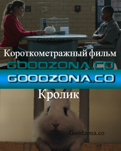 Кролик (2014)